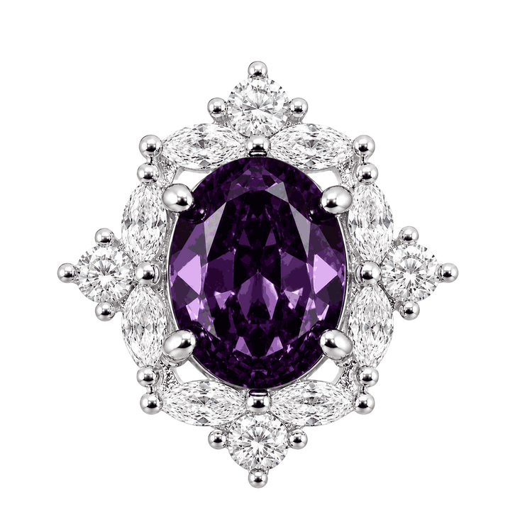 Violet Clover