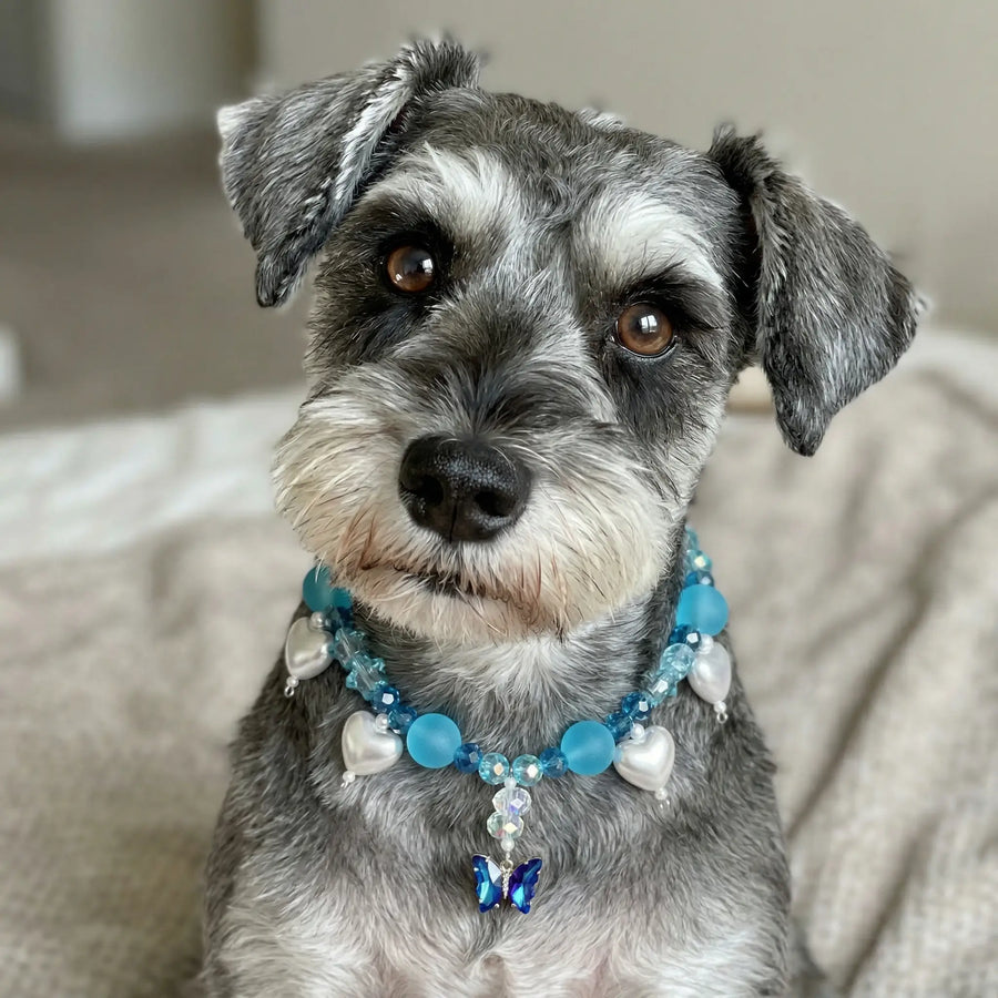 Vanderclix Butterfly Pendant Necklace Blue Schnauzer Seated