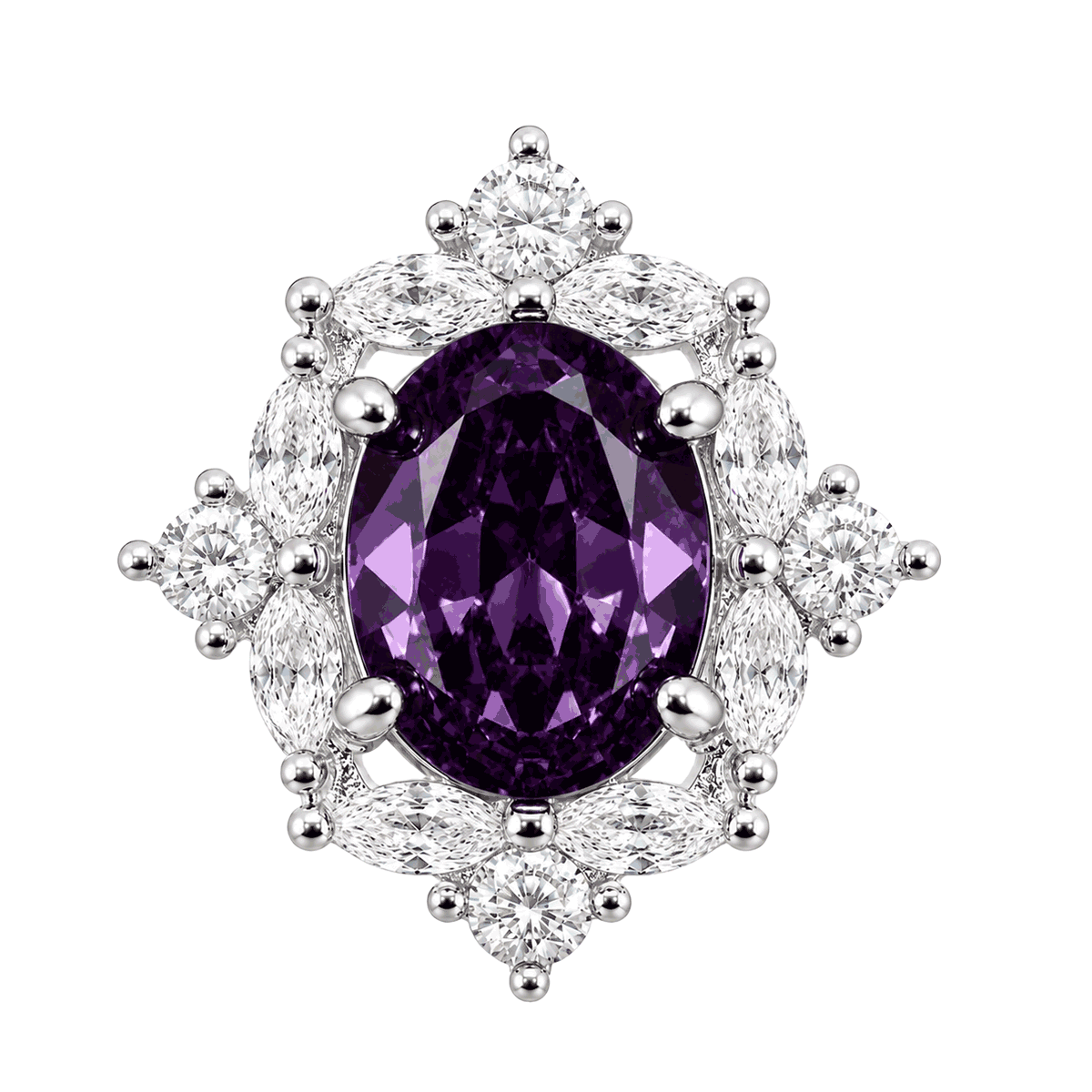 Violet Clover