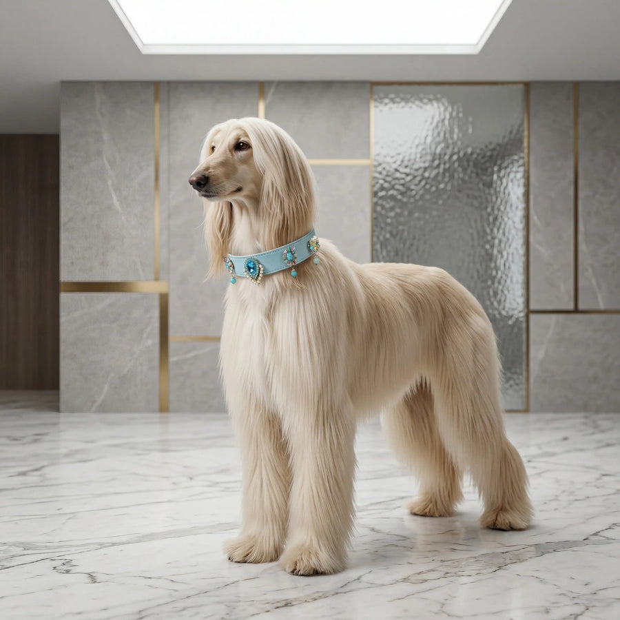 Dog wearing Vanderclix Tidal blue collar — portrait
