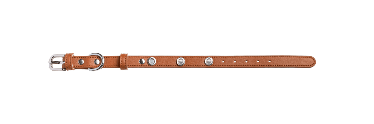 Saddle