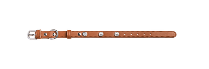 Saddle
