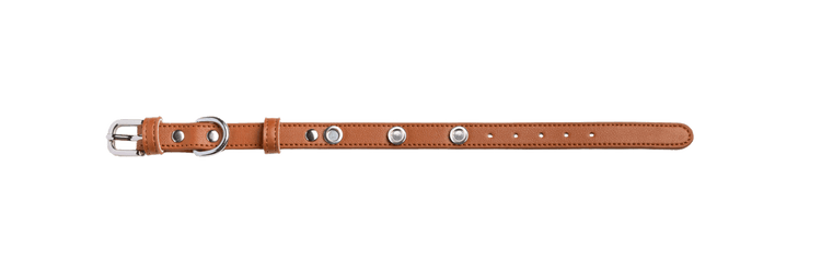 Saddle