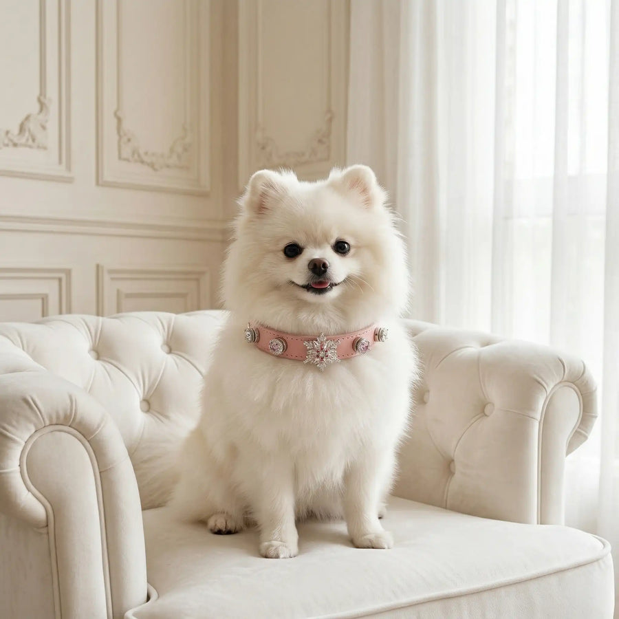 Dog wearing Vanderclix Sakura pink collar in soft pastel light.