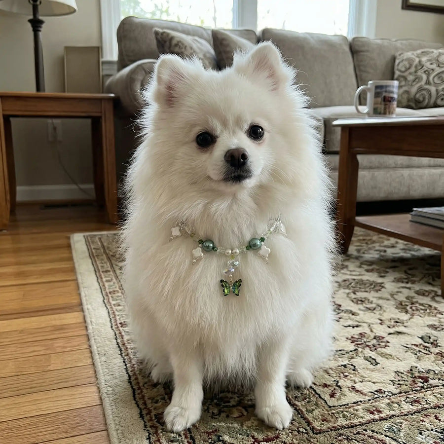 Vanderclix Butterfly Pendant Necklace Green Pomeranian Outdoor