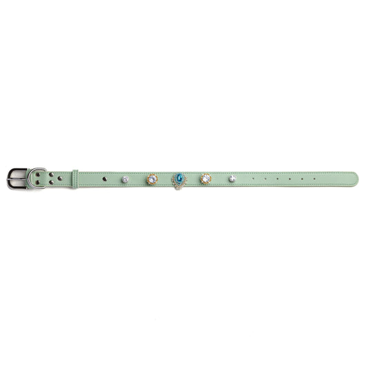 Vanderclix&Co. mint green dog collar with royal teardrop snap-on charms, size L, front view.