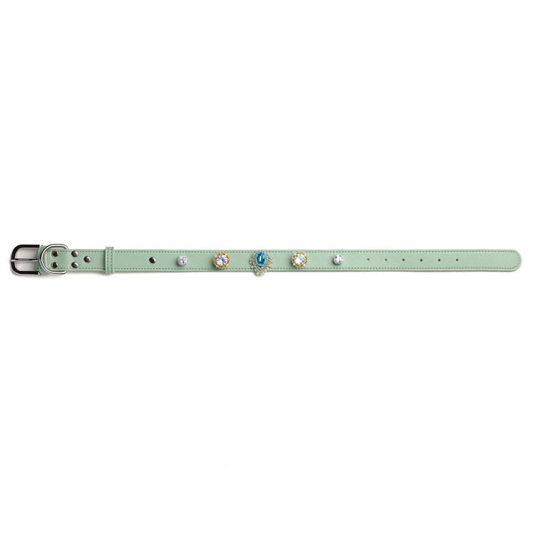 Vanderclix mint green dog collar with royal teardrop snap-on charms, size L, front view.