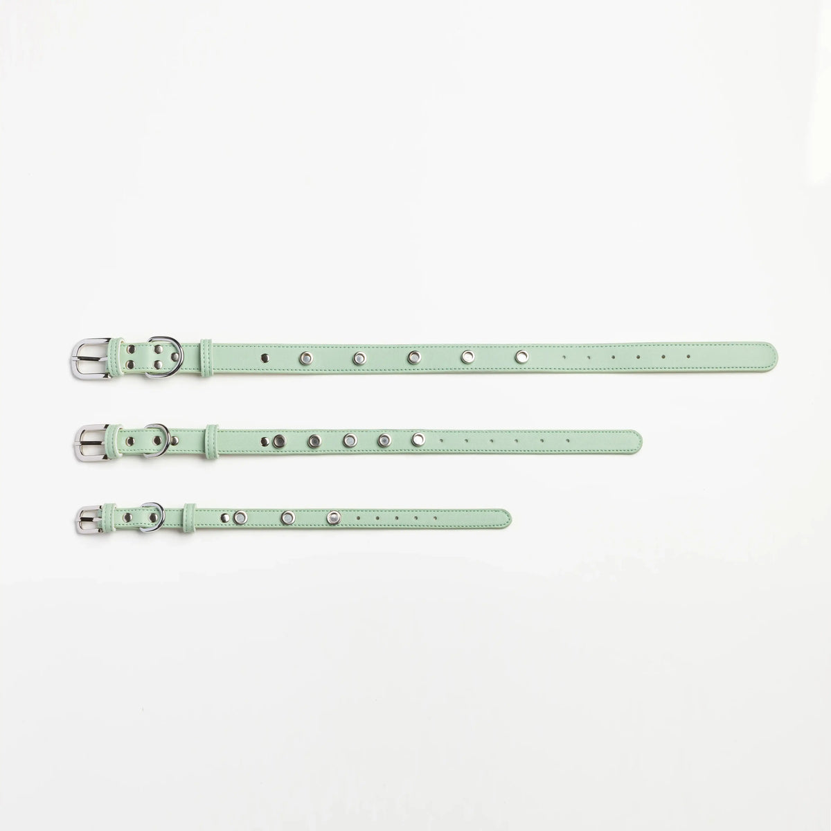 Vanderclix Sage green Signature Base Collar in three sizes