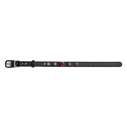 Vanderclix&Co. black dog collar with scarlet red snap-on charms, size M, front view.