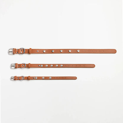 Signature Base Collar